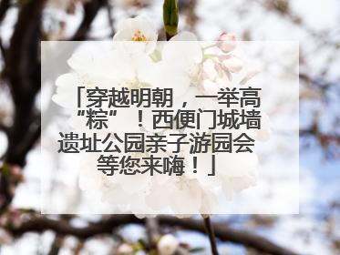 穿越明朝，一举高“粽”！西便门城墙遗址公园亲子游园会等您来嗨！