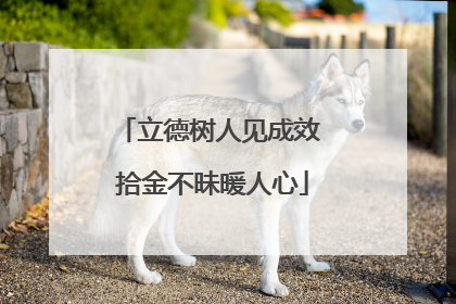 立德树人见成效 拾金不昧暖人心