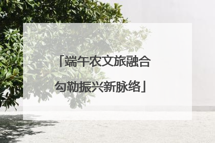 端午农文旅融合 勾勒振兴新脉络