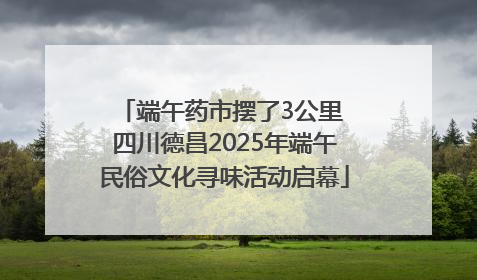 端午药市摆了3公里 四川德昌2025年端午民俗文化寻味活动启幕