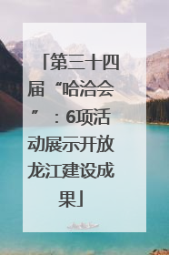 第三十四届“哈洽会”：6项活动展示开放龙江建设成果