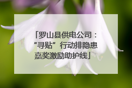 罗山县供电公司：“寻贴”行动排隐患 嘉奖激励助护线