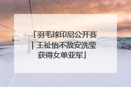 羽毛球印尼公开赛｜王祉怡不敌安洗莹 获得女单亚军