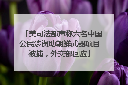 美司法部声称六名中国公民涉资助朝鲜武器项目被捕，外交部回应