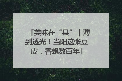 美味在“县”｜薄到透光！当阳这张豆皮，香飘数百年