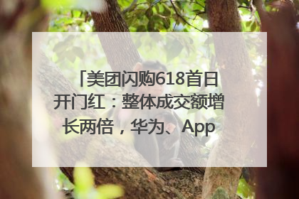 美团闪购618首日开门红：整体成交额增长两倍，华为、Apple、沃尔玛等近800个品牌翻倍增长
