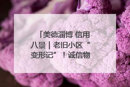 美德淄博 信用八景｜老旧小区“变形记”！诚信物业焐热居民心窝