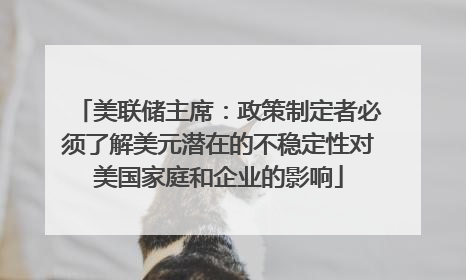 美联储主席：政策制定者必须了解美元潜在的不稳定性对美国家庭和企业的影响