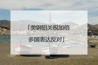 美钢铝关税加倍 多国表达反对