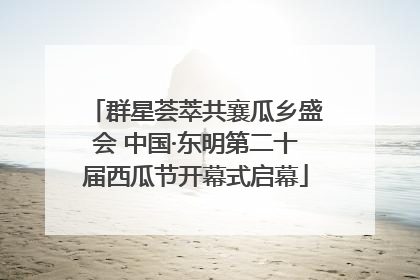 群星荟萃共襄瓜乡盛会 中国·东明第二十届西瓜节开幕式启幕
