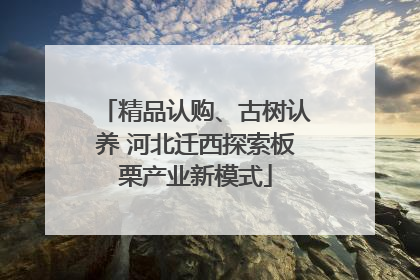精品认购、古树认养 河北迁西探索板栗产业新模式