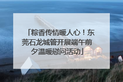 粽香传情暖人心！东莞石龙城管开展端午前夕温暖慰问活动