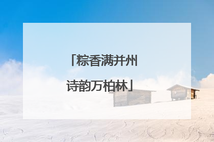 粽香满并州 诗韵万柏林