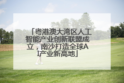 粤港澳大湾区人工智能产业创新联盟成立，南沙打造全球AI产业新高地