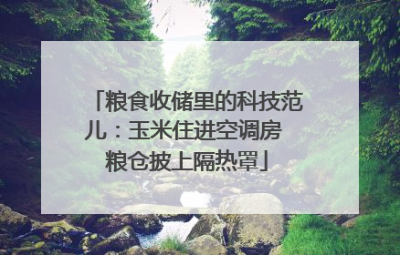 粮食收储里的科技范儿：玉米住进空调房 粮仓披上隔热罩