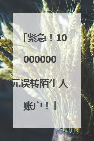 紧急！10000000元误转陌生人账户！