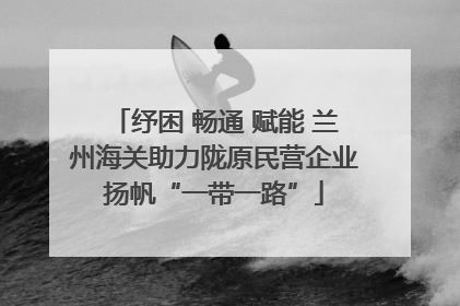 纾困 畅通 赋能 兰州海关助力陇原民营企业扬帆“一带一路”