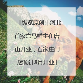 纵览原创｜河北首家盒马鲜生在唐山开业，石家庄门店预计8月开业