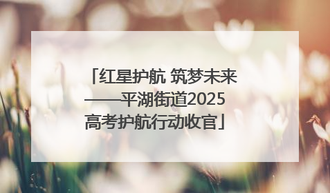 红星护航 筑梦未来——平湖街道2025高考护航行动收官