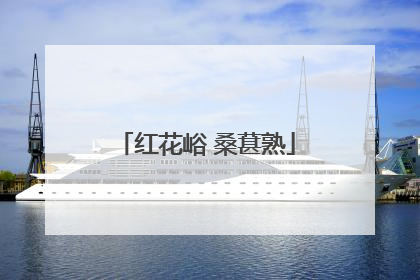 红花峪 桑葚熟