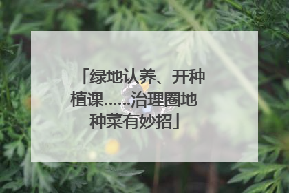 绿地认养、开种植课……治理圈地种菜有妙招