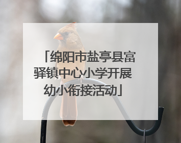 绵阳市盐亭县富驿镇中心小学开展幼小衔接活动