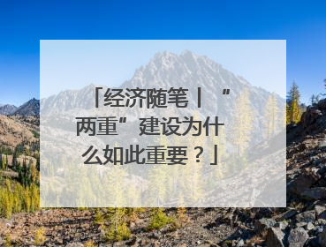 经济随笔丨“两重”建设为什么如此重要？