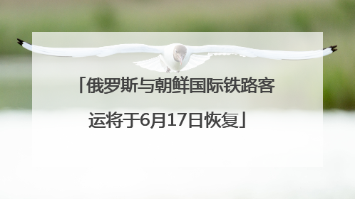 俄罗斯与朝鲜国际铁路客运将于6月17日恢复