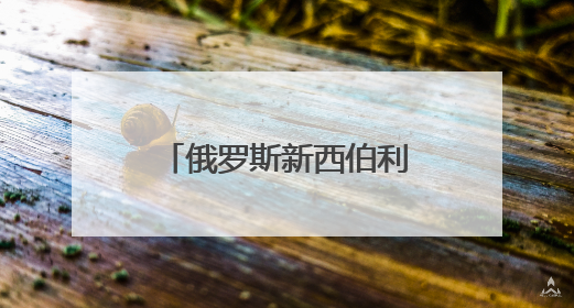 俄罗斯新西伯利亚州中国（山东）信息商务中心在上合示范区揭牌