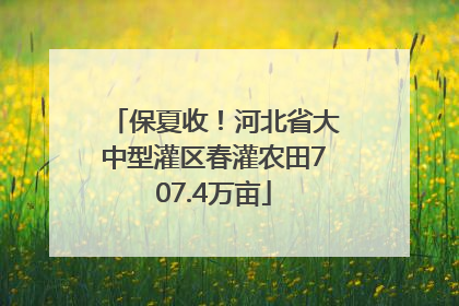 保夏收！河北省大中型灌区春灌农田707.4万亩