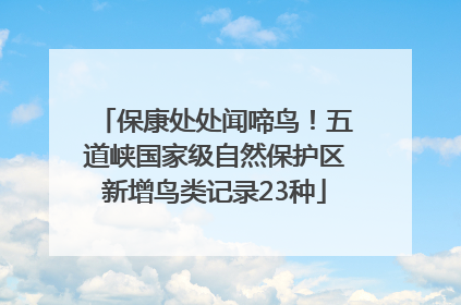 保康处处闻啼鸟！五道峡国家级自然保护区新增鸟类记录23种