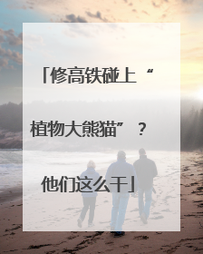 修高铁碰上“植物大熊猫”？他们这么干