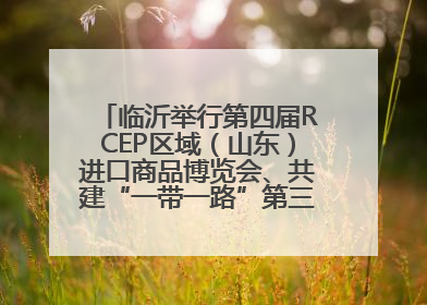 临沂举行第四届RCEP区域（山东）进口商品博览会、共建“一带一路”第三届临沂商城国际采购商大会新闻发布会