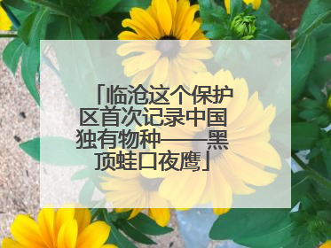 临沧这个保护区首次记录中国独有物种——黑顶蛙口夜鹰