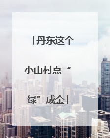 丹东这个小山村点“绿”成金