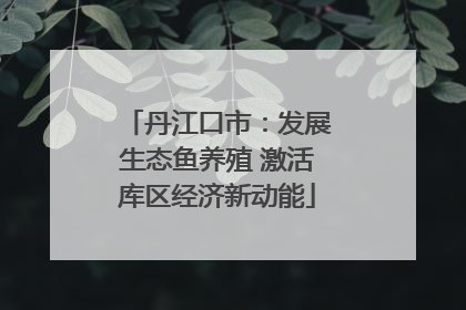 丹江口市：发展生态鱼养殖 激活库区经济新动能