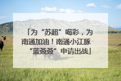 为“苏超”喝彩，为南通加油！南通小江豚“蓝叒叒”申请出战