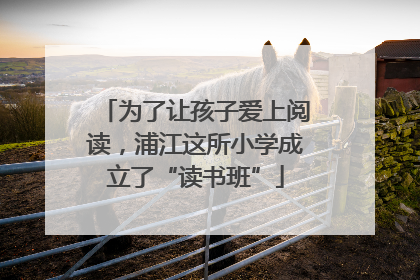 为了让孩子爱上阅读，浦江这所小学成立了“读书班”