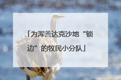 为浑善达克沙地“锁边”的牧民小分队