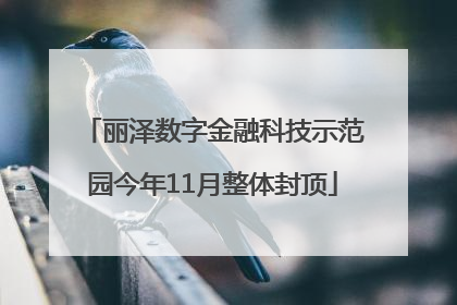 丽泽数字金融科技示范园今年11月整体封顶