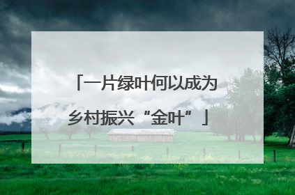 一片绿叶何以成为乡村振兴“金叶”