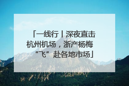 一线行丨深夜直击杭州机场，浙产杨梅“飞”赴各地市场