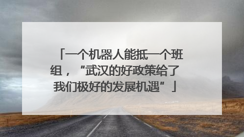 一个机器人能抵一个班组，“武汉的好政策给了我们极好的发展机遇”