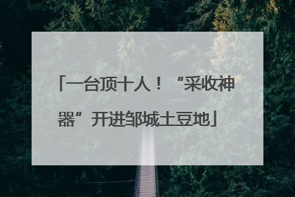 一台顶十人！“采收神器”开进邹城土豆地