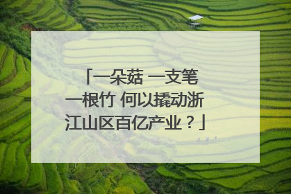 一朵菇 一支笔 一根竹 何以撬动浙江山区百亿产业？