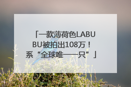 一款薄荷色LABUBU被拍出108万！系“全球唯一一只”