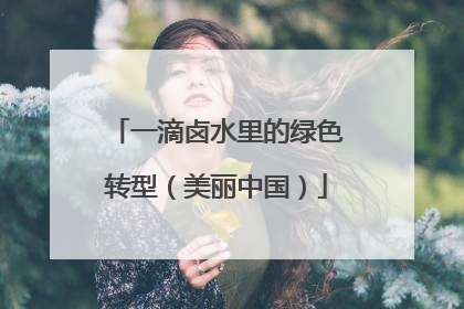 一滴卤水里的绿色转型（美丽中国）