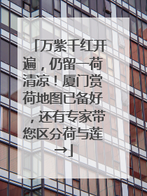 万紫千红开遍，仍留一荷清凉！厦门赏荷地图已备好，还有专家带您区分荷与莲→