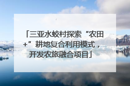 三亚水蛟村探索“农田+”耕地复合利用模式，开发农旅融合项目