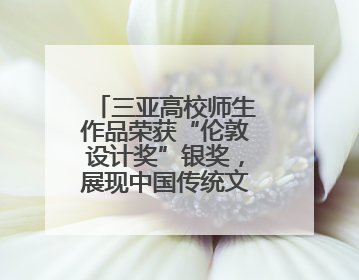 三亚高校师生作品荣获“伦敦设计奖”银奖，展现中国传统文化创新魅力